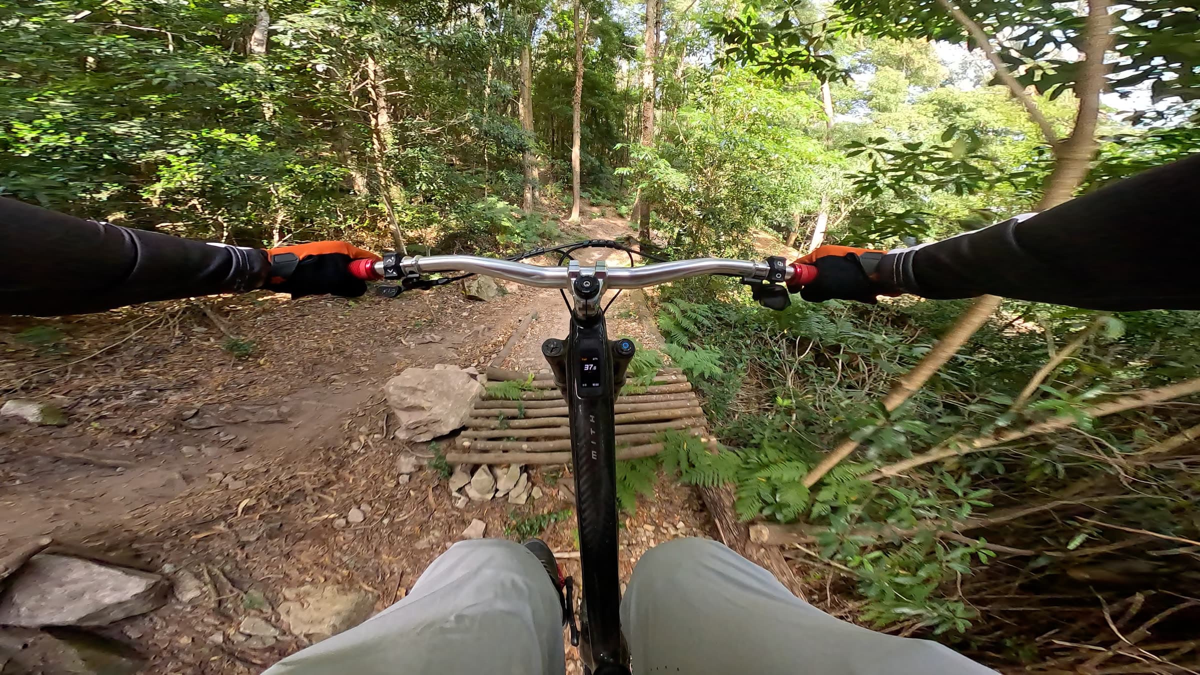 Timber bridge, deep forest