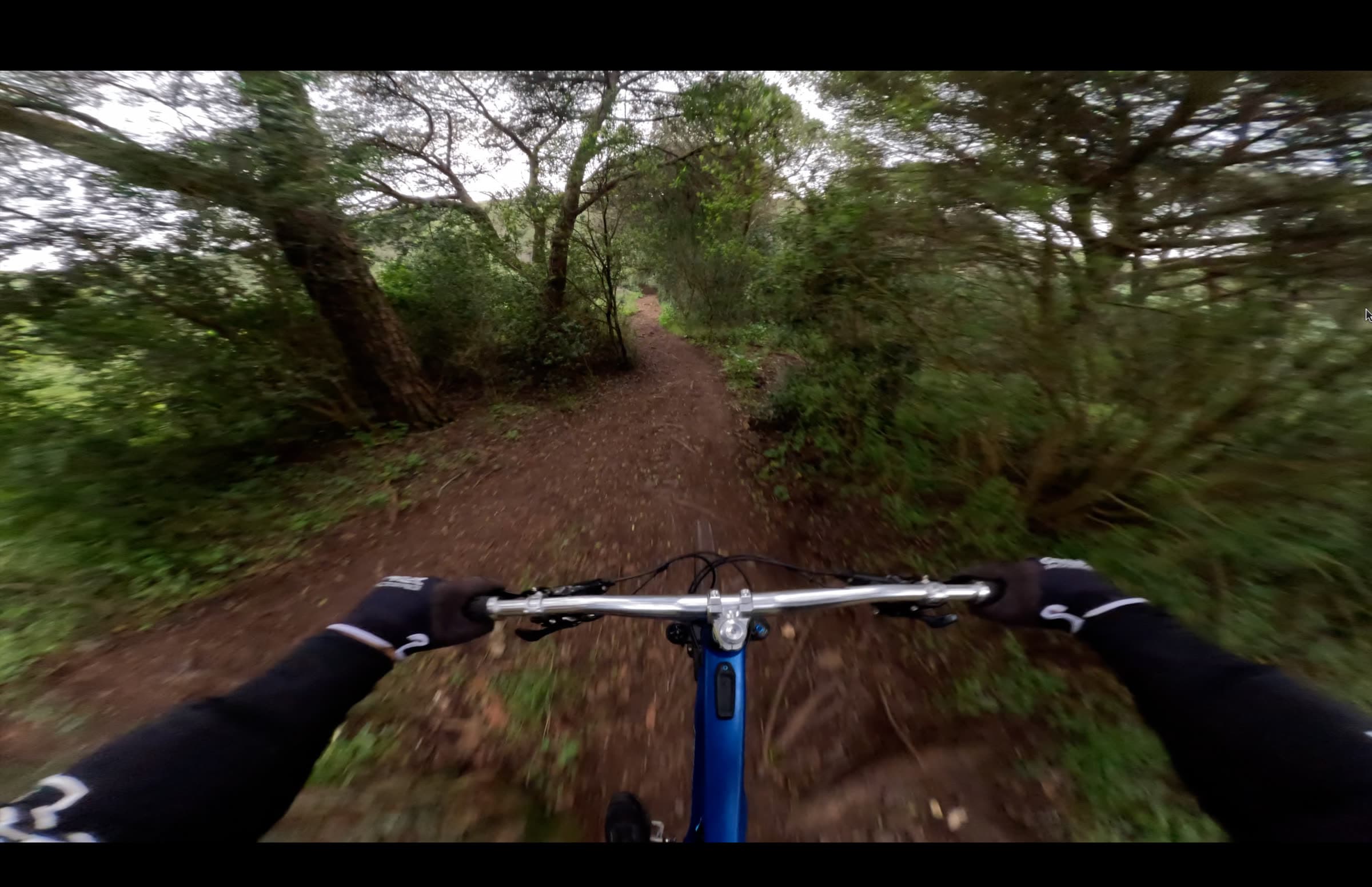 Fast dirt under the pines